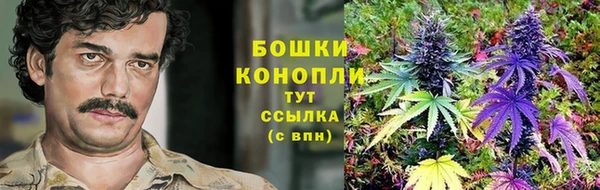 ГАЛЛЮЦИНОГЕННЫЕ ГРИБЫ Алексеевка